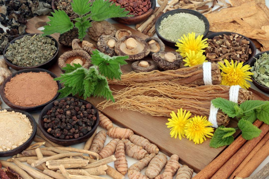 Alimenti per lo stress: scopri i cibi adattogeni