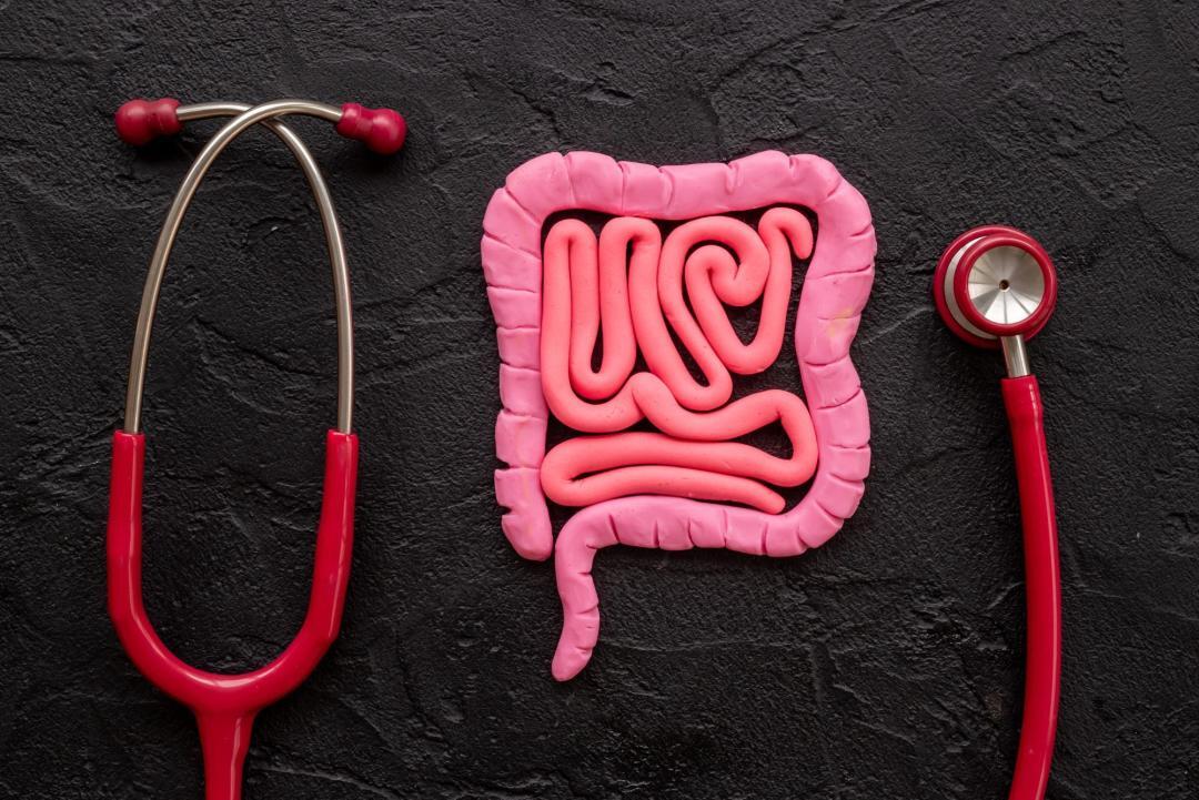 Migliorare la salute intestinale: alimentazione equilibrata e buone abitudini