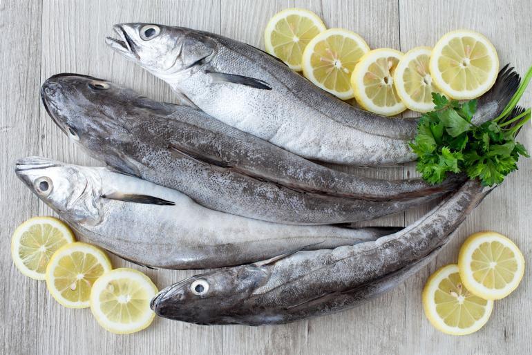 merluzzo preziosa fonte di colesterolo buono grand chef evolution