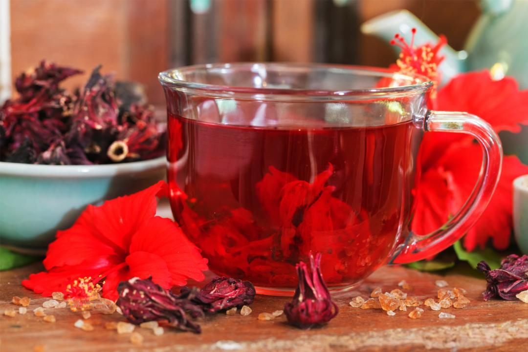 Karkadè: pianta dalle tante proprietà curative