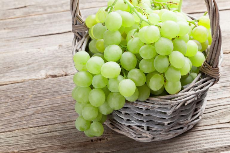 mangiare l uva fa bene alla nostra salute - grand chef evolution