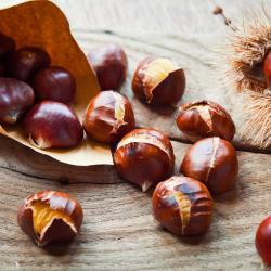 castagne-arrosto