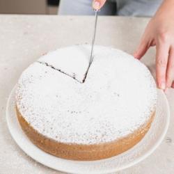 pan-di-spagna-al-cacao---