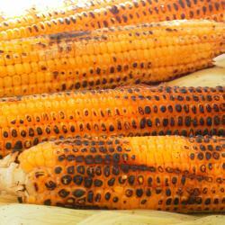 pannocchie-arrostite