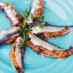 sarde-ripiene